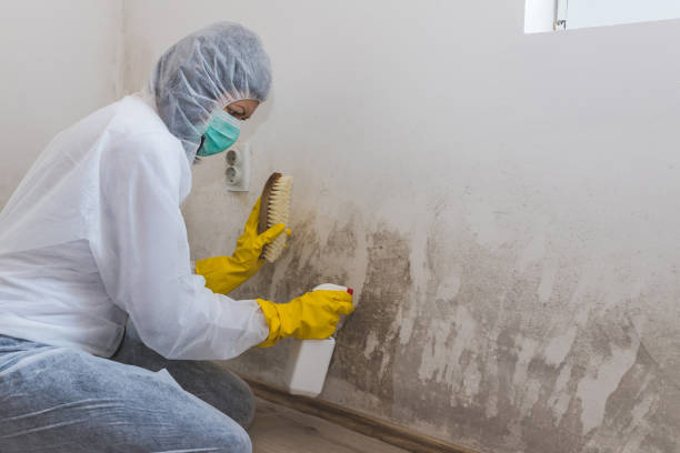 Best Crawl Space Mold Removal  in Leith Hatfield, PA