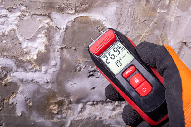 Trusted Leith Hatfield, PA Mold Removal Experts
