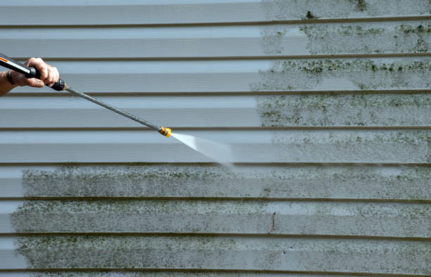 Best Toxic Mold Removal  in Leith Hatfield, PA